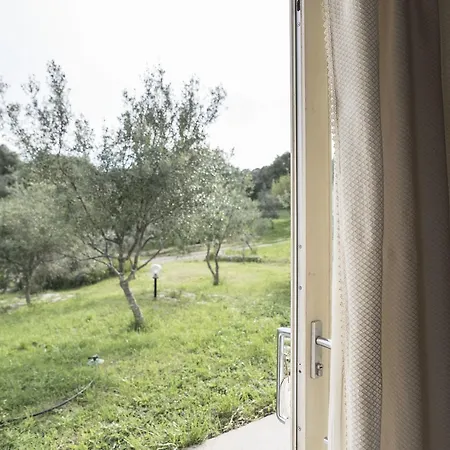 B&B Nacchinono