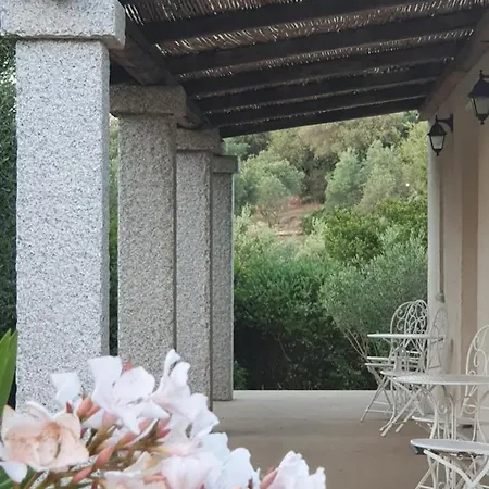 Nacchinono Olbia
