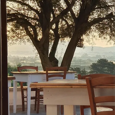Bed and Breakfast Nacchinono Όλμπια