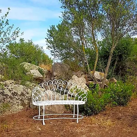 Bed & Breakfast Nacchinono Olbia