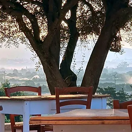 Frühstückspension Nacchinono Olbia