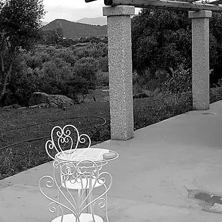 Nacchinono Olbia