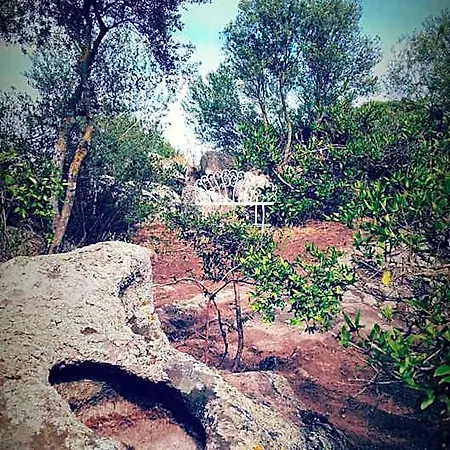 Nacchinono Olbia