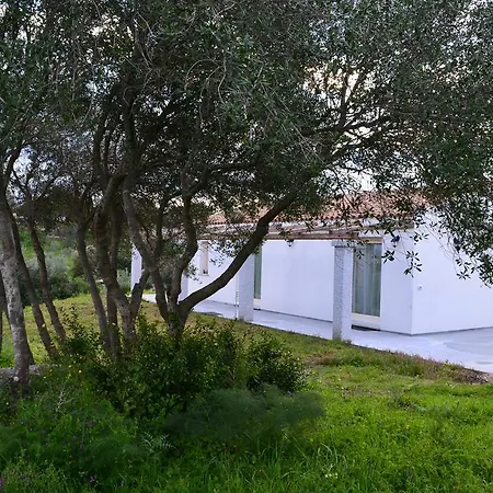Nacchinono Bed and Breakfast Όλμπια