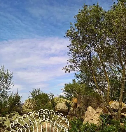 Bed and Breakfast Nacchinono Όλμπια