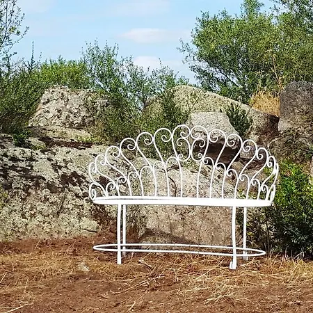 Bed and Breakfast Nacchinono Όλμπια