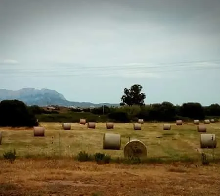 Bed and Breakfast Nacchinono Όλμπια