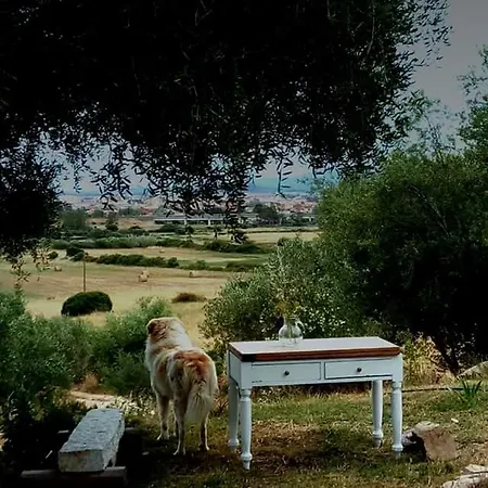 Bed and Breakfast Nacchinono
