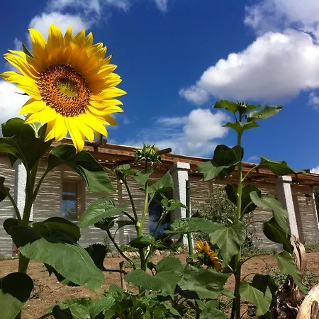Bed and Breakfast Nacchinono Όλμπια