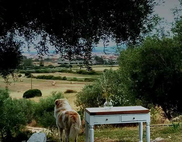 Oda ve Kahvaltı Nacchinono