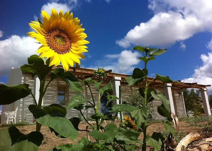 Oda ve Kahvaltı Nacchinono Olbia